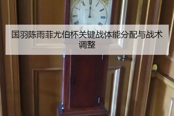 guo-yu-chen-yu-fei-you-bo-bei-guan-jian-zhan-ti-neng-fen-pei-yu-zhan-shu-tiao-zheng-3-442.jpg